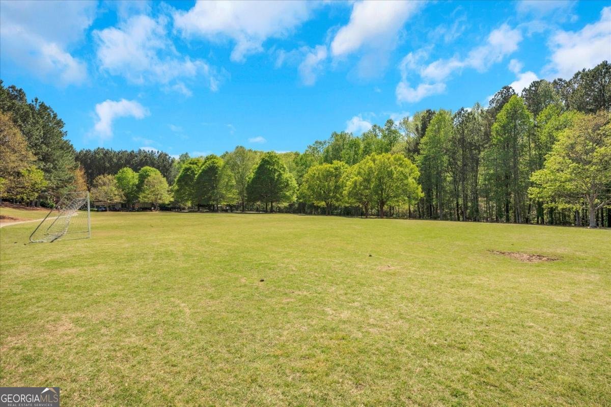 427 Retreat Lane Canton - 49