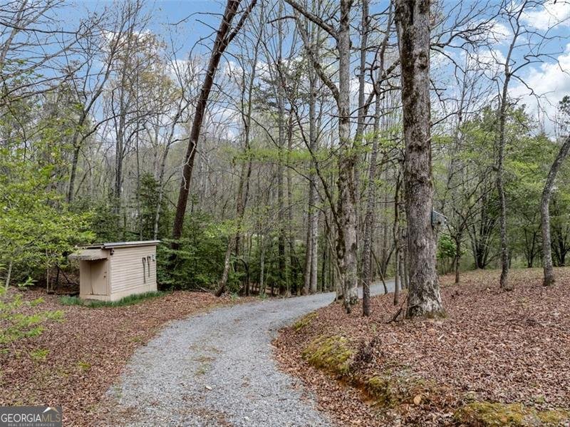 18 GOLDMINE Road Ellijay - 36