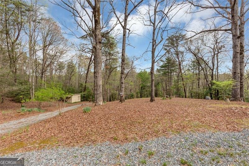 18 GOLDMINE Road Ellijay - 37