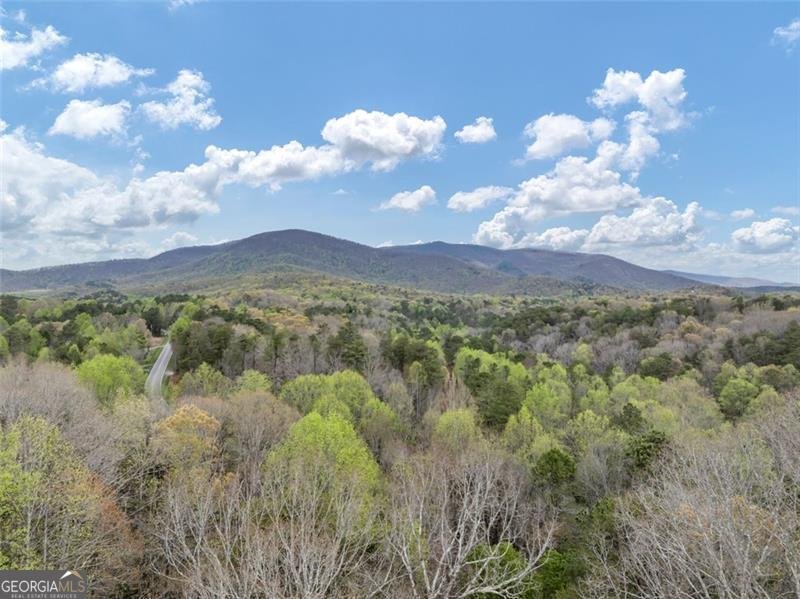 18 GOLDMINE Road Ellijay - 39