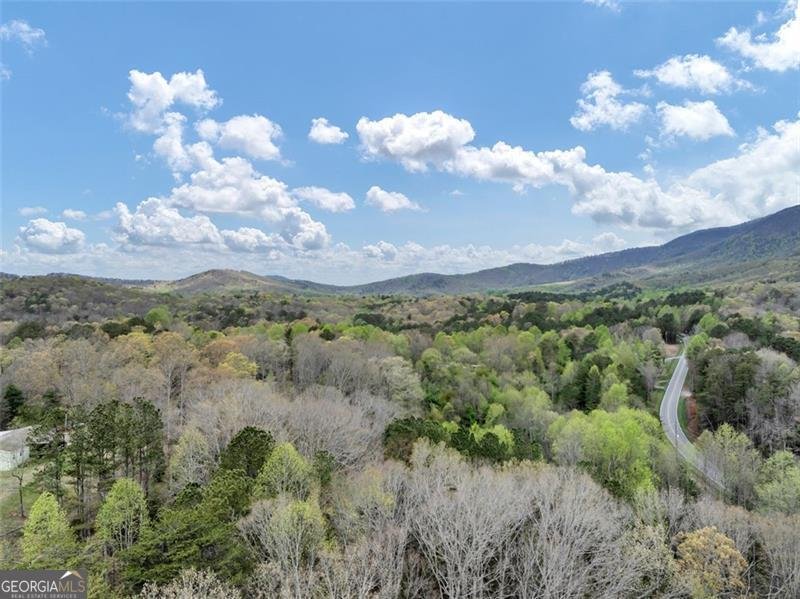 18 GOLDMINE Road Ellijay - 40