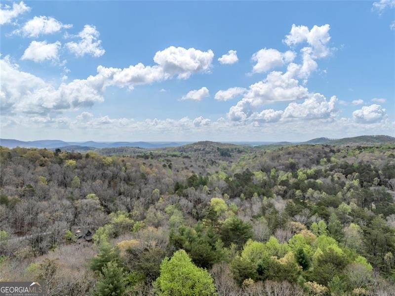 18 GOLDMINE Road Ellijay - 41