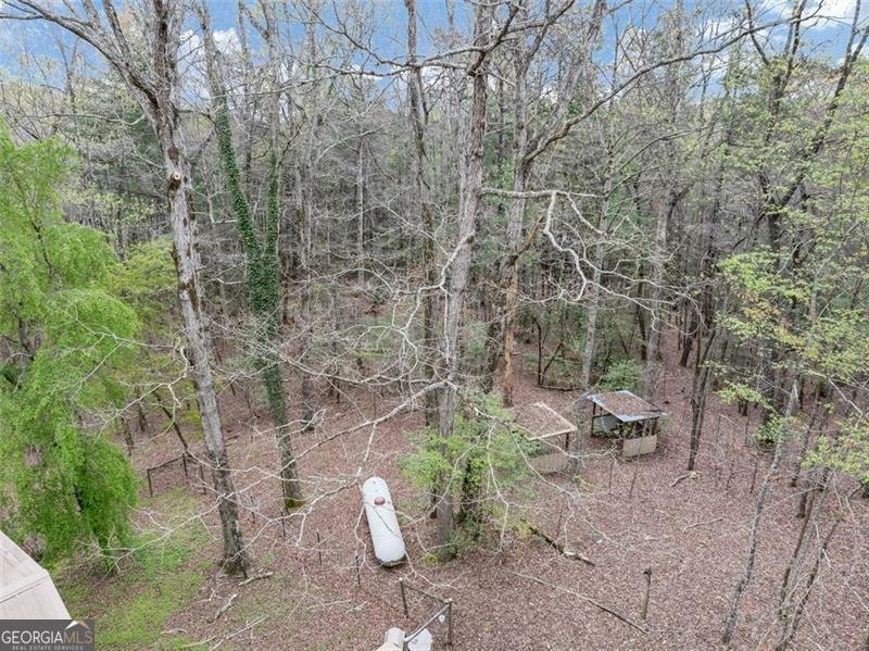 18 GOLDMINE Road Ellijay - 44