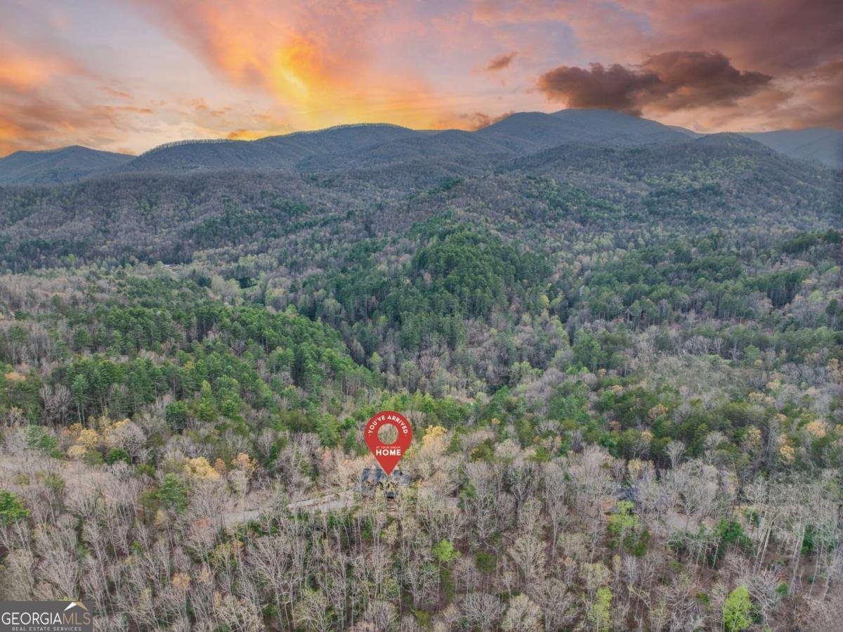 671 Stover Knob Trail Blue Ridge - 11