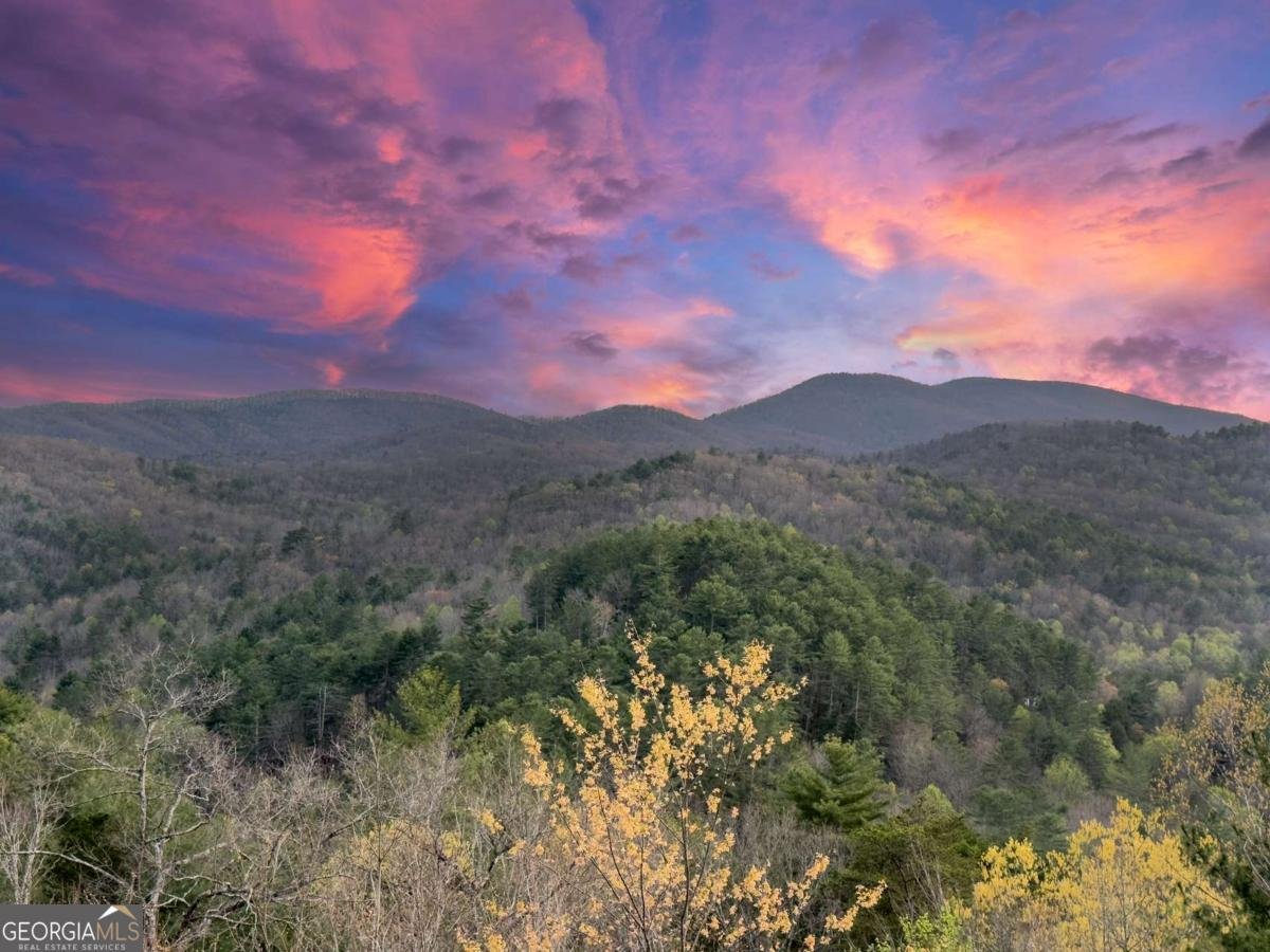 671 Stover Knob Trail Blue Ridge - 3