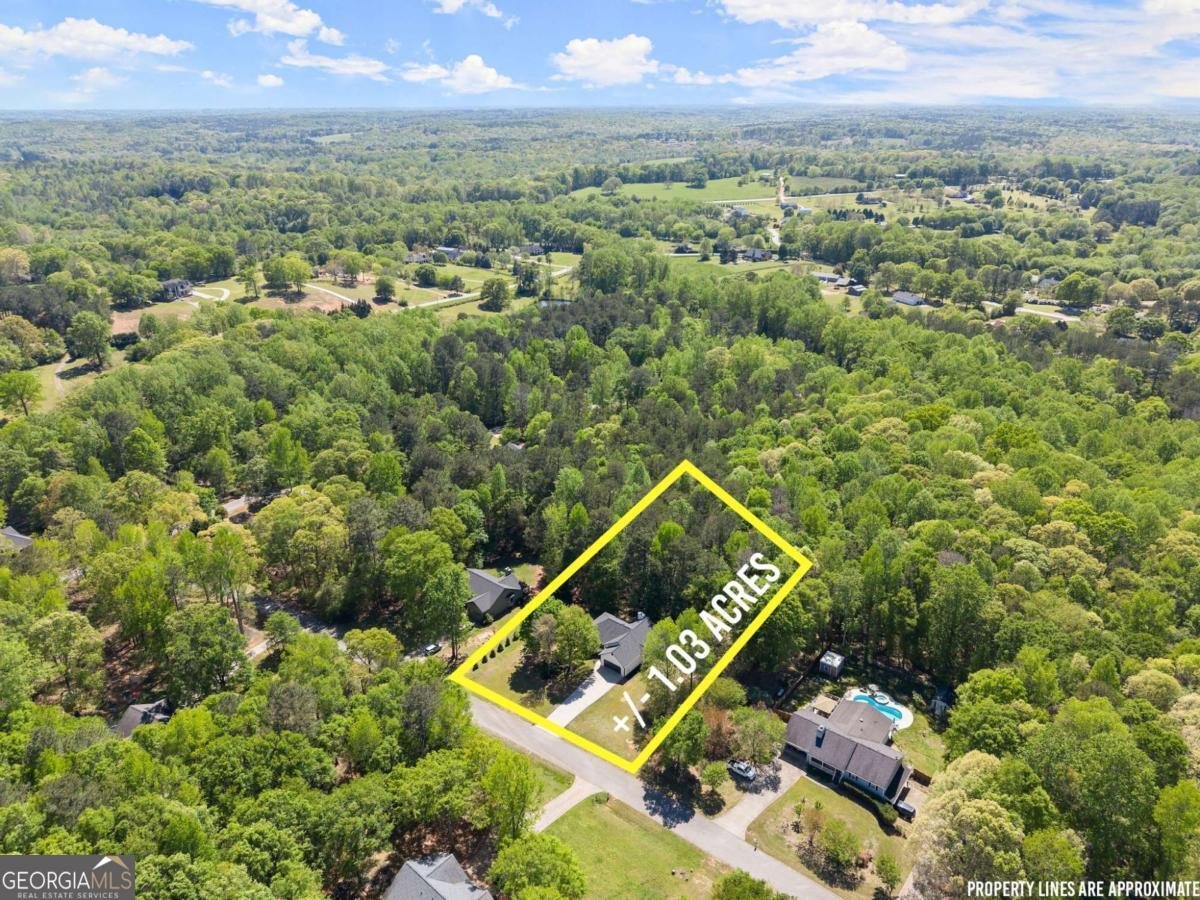 704 Poplar Springs Road Hoschton - 60