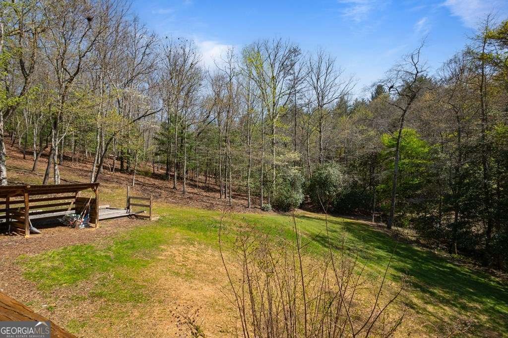 151 Hickory Hills Trail Mineral Bluff - 21