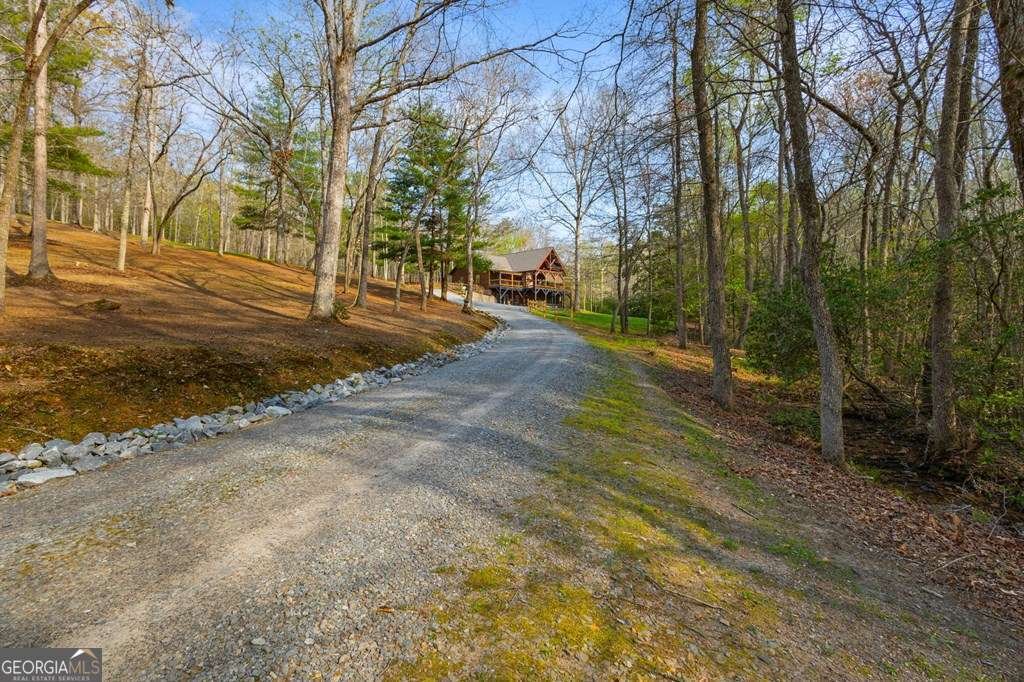 151 Hickory Hills Trail Mineral Bluff - 3