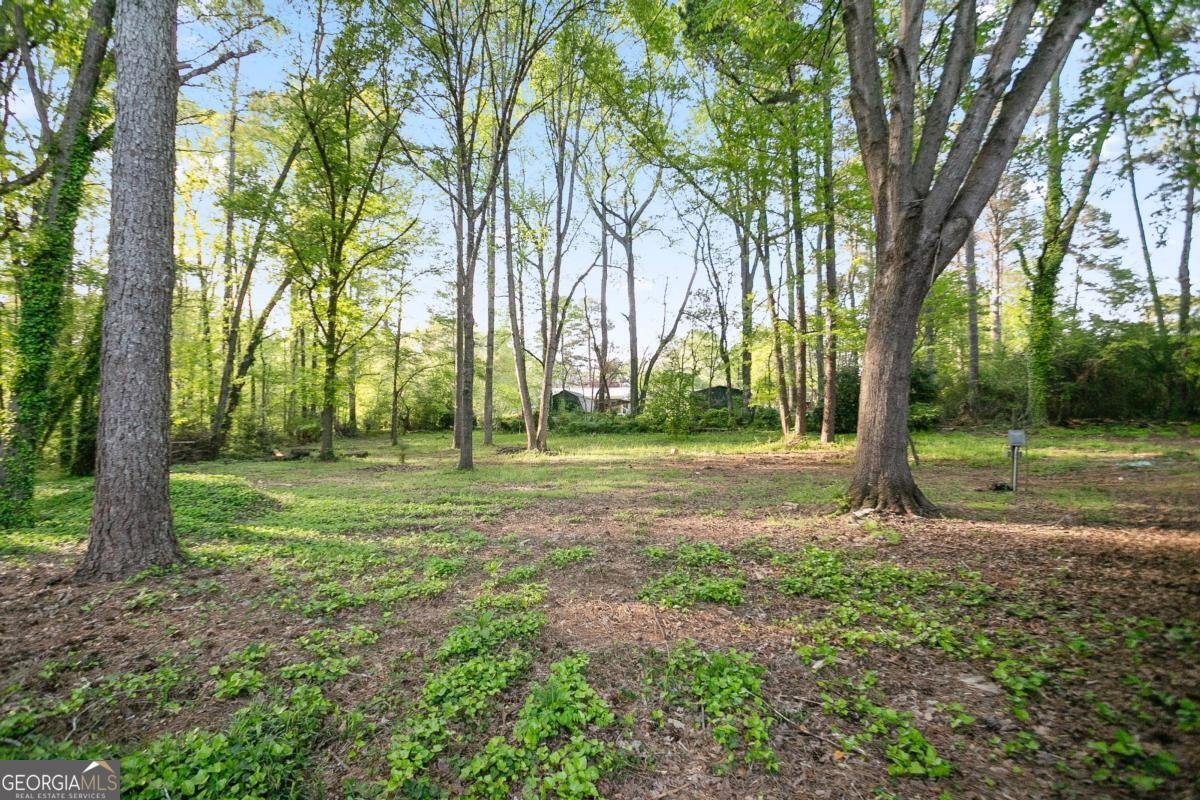4225 Hidden Meadow Circle Buford - 13