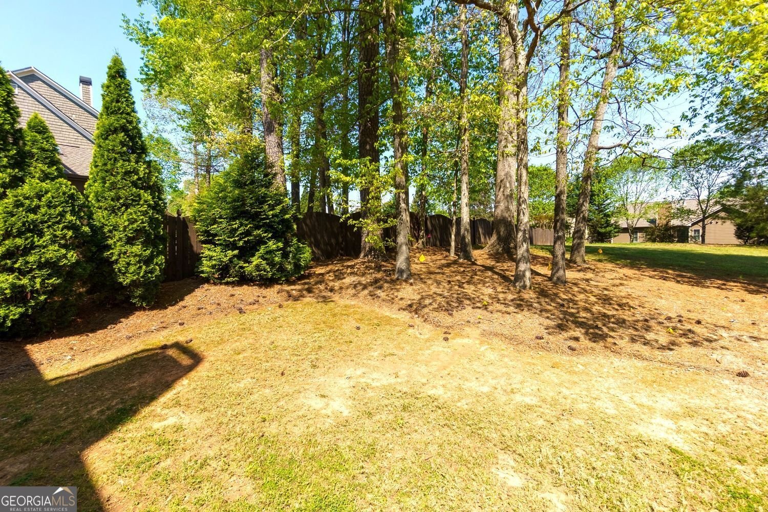 4125 Barnes Meadow Road Smyrna - 22