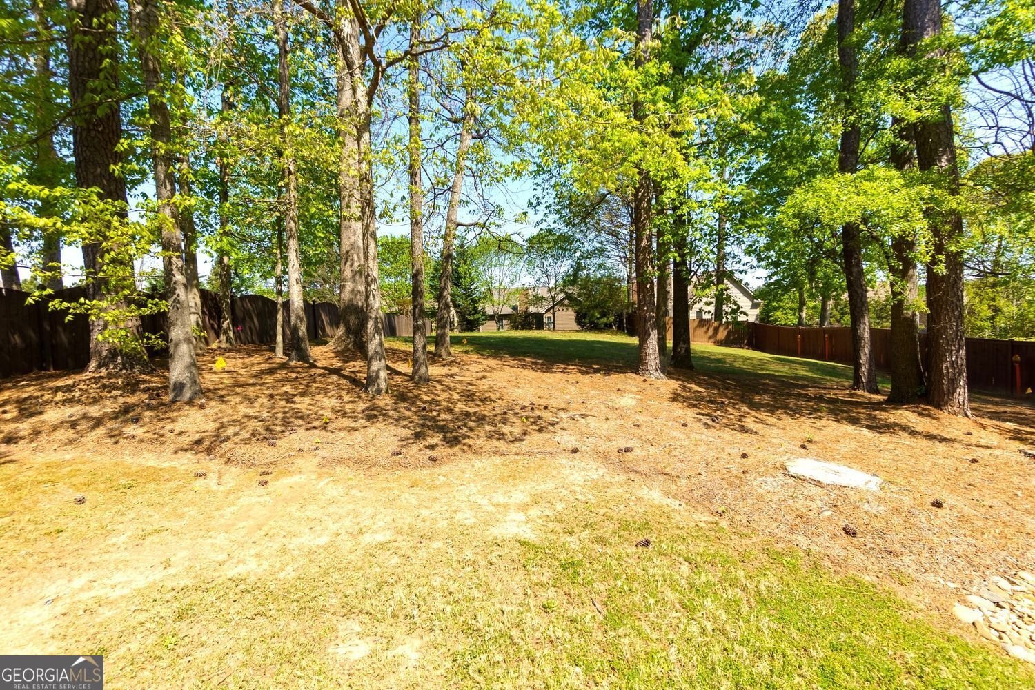 4125 Barnes Meadow Road Smyrna - 23