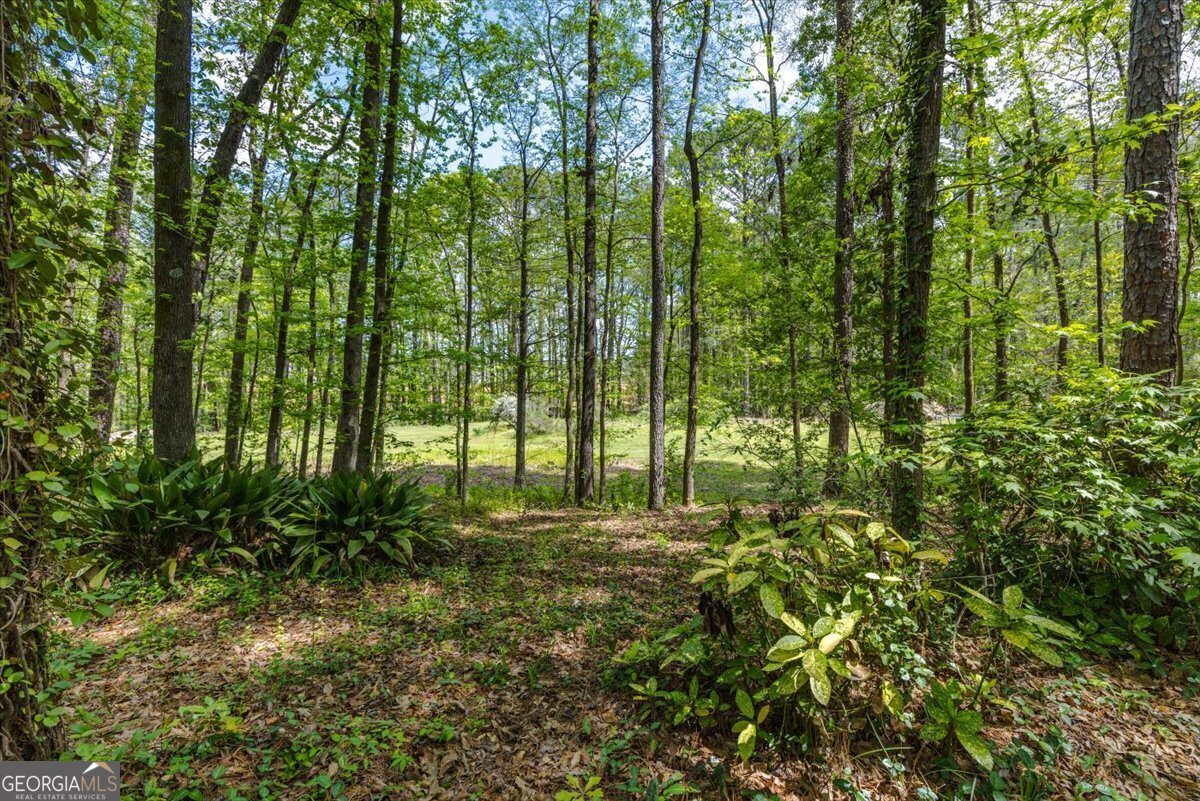 172 Lake View Drive Macon - 49