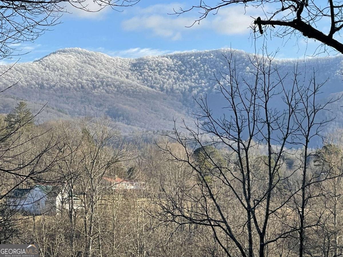 5.765 AC Brannon Nix Road Blairsville - 13