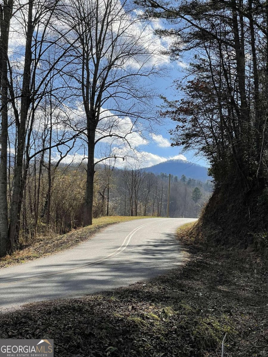 5.765 AC Brannon Nix Road Blairsville - 15