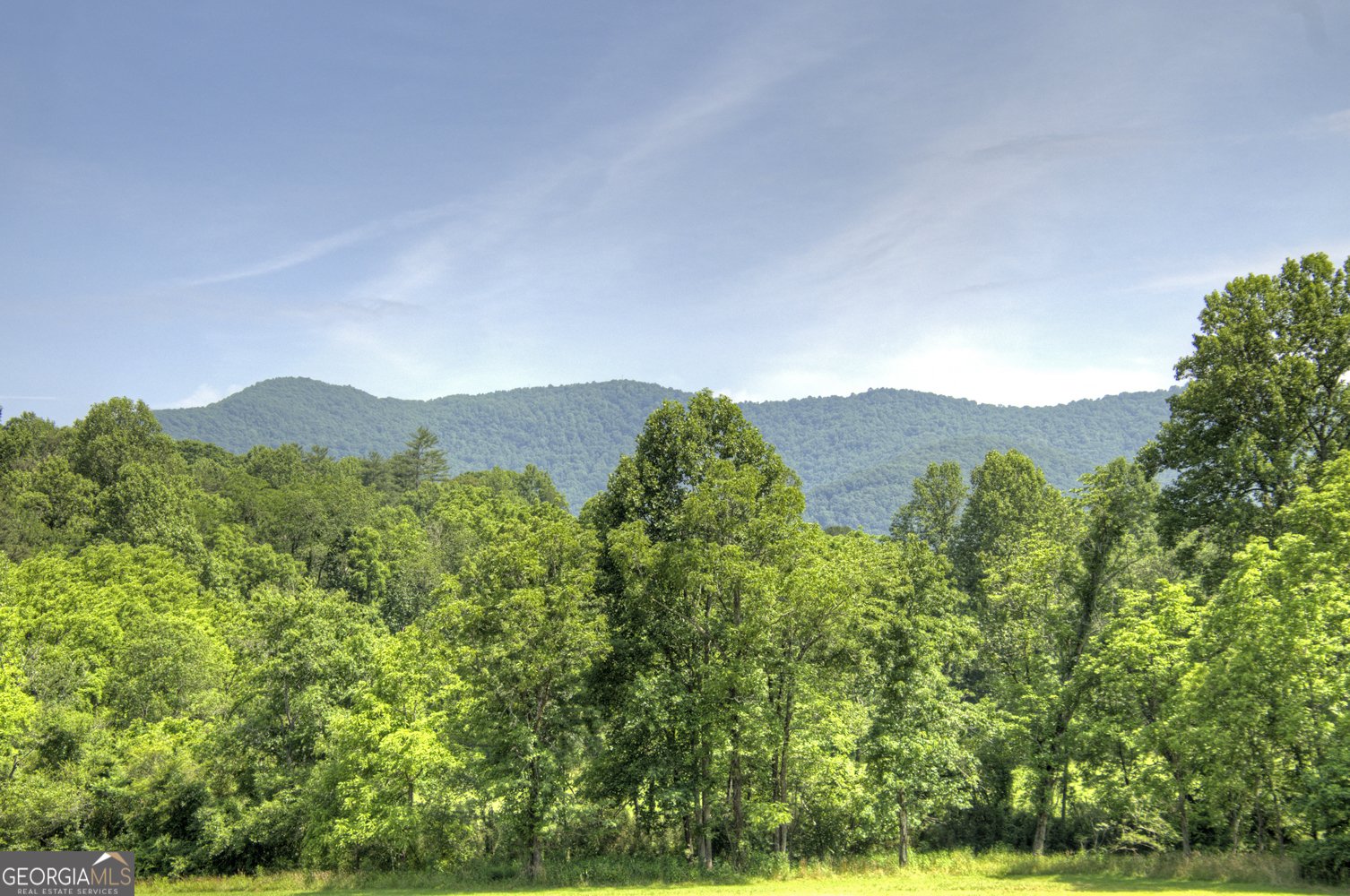 5.765 AC Brannon Nix Road Blairsville - 16