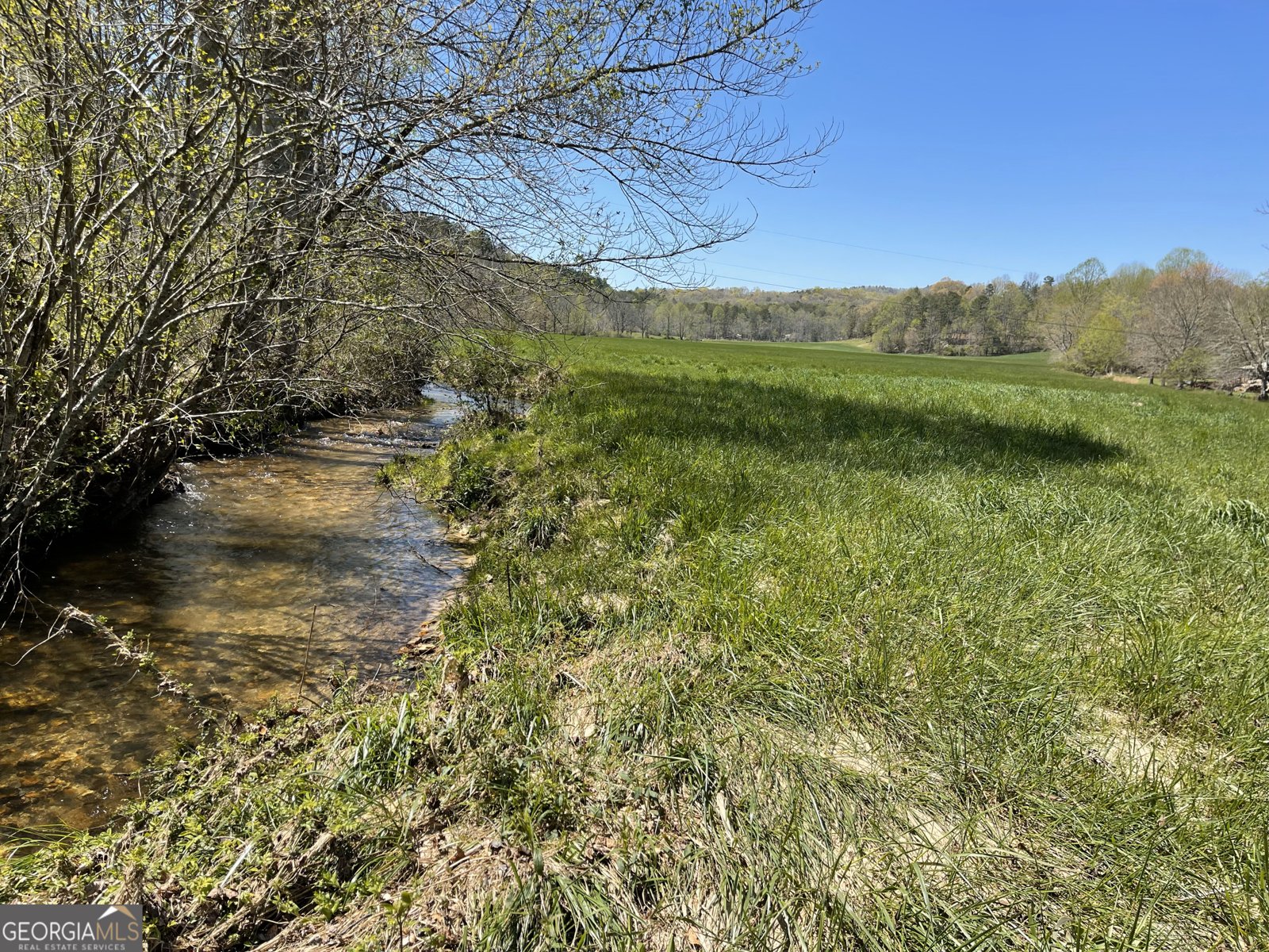 5.765 AC Brannon Nix Road Blairsville - 17