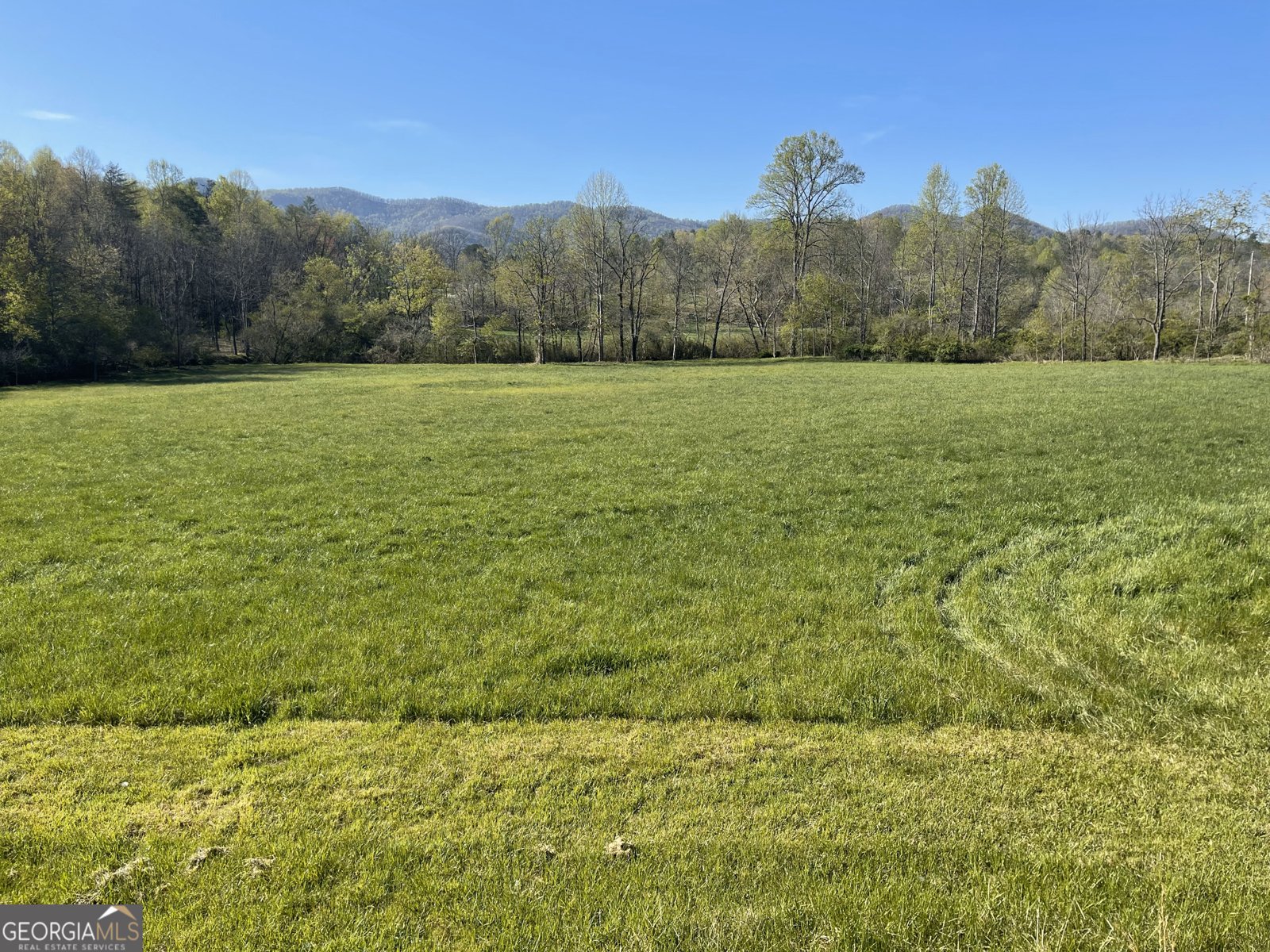 5.765 AC Brannon Nix Road Blairsville - 19