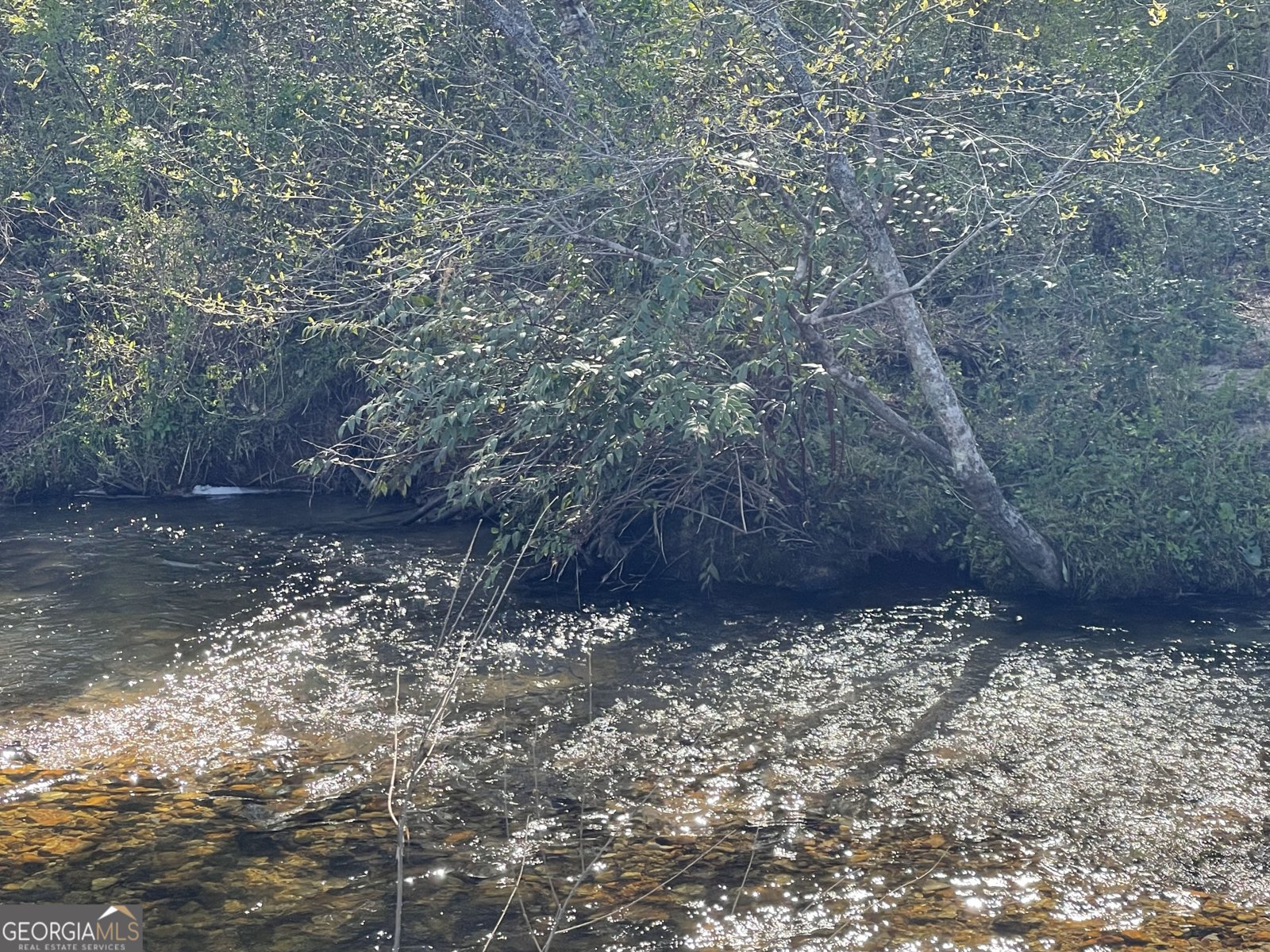5.765 AC Brannon Nix Road Blairsville - 21