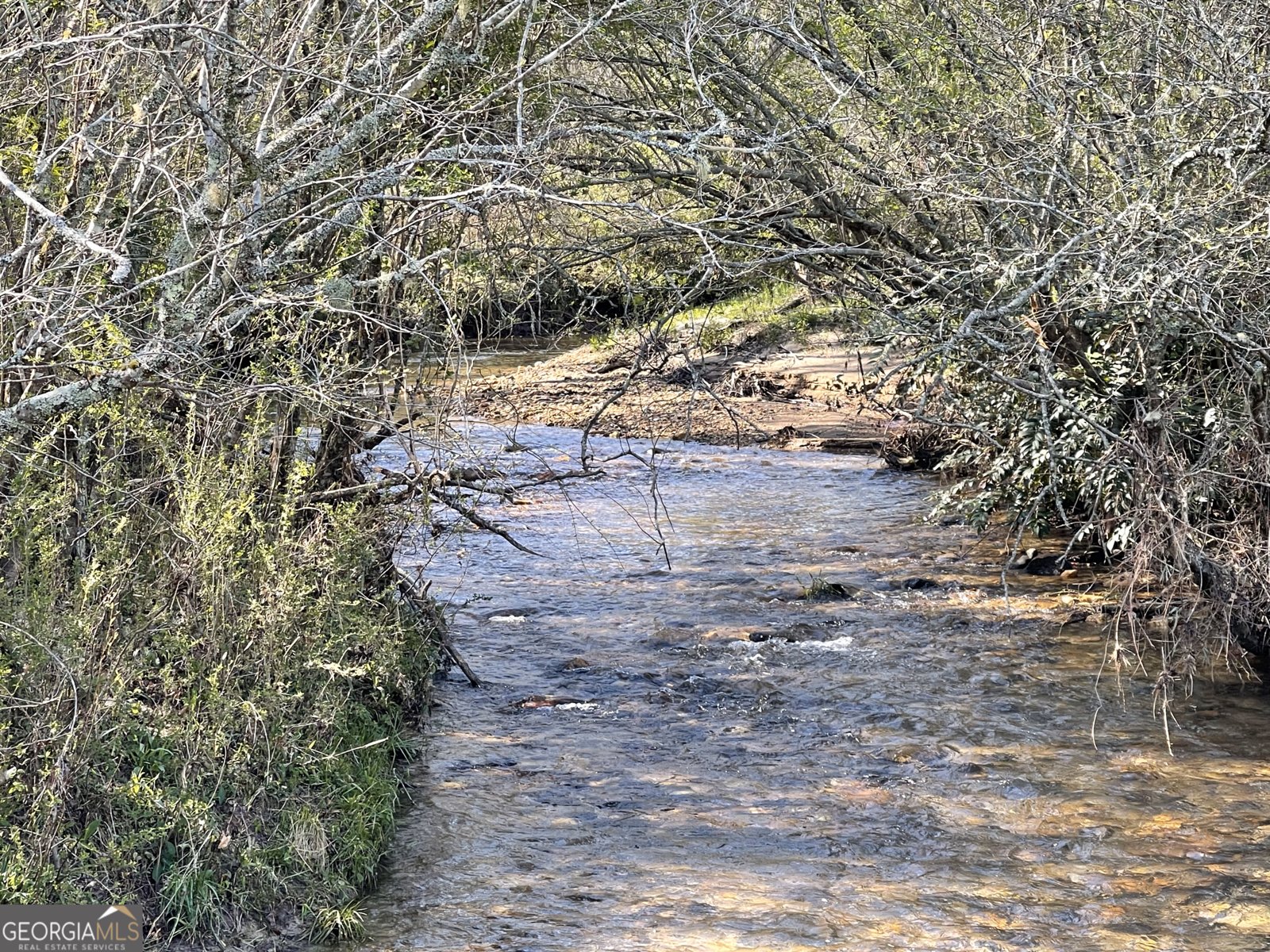 5.765 AC Brannon Nix Road Blairsville - 22