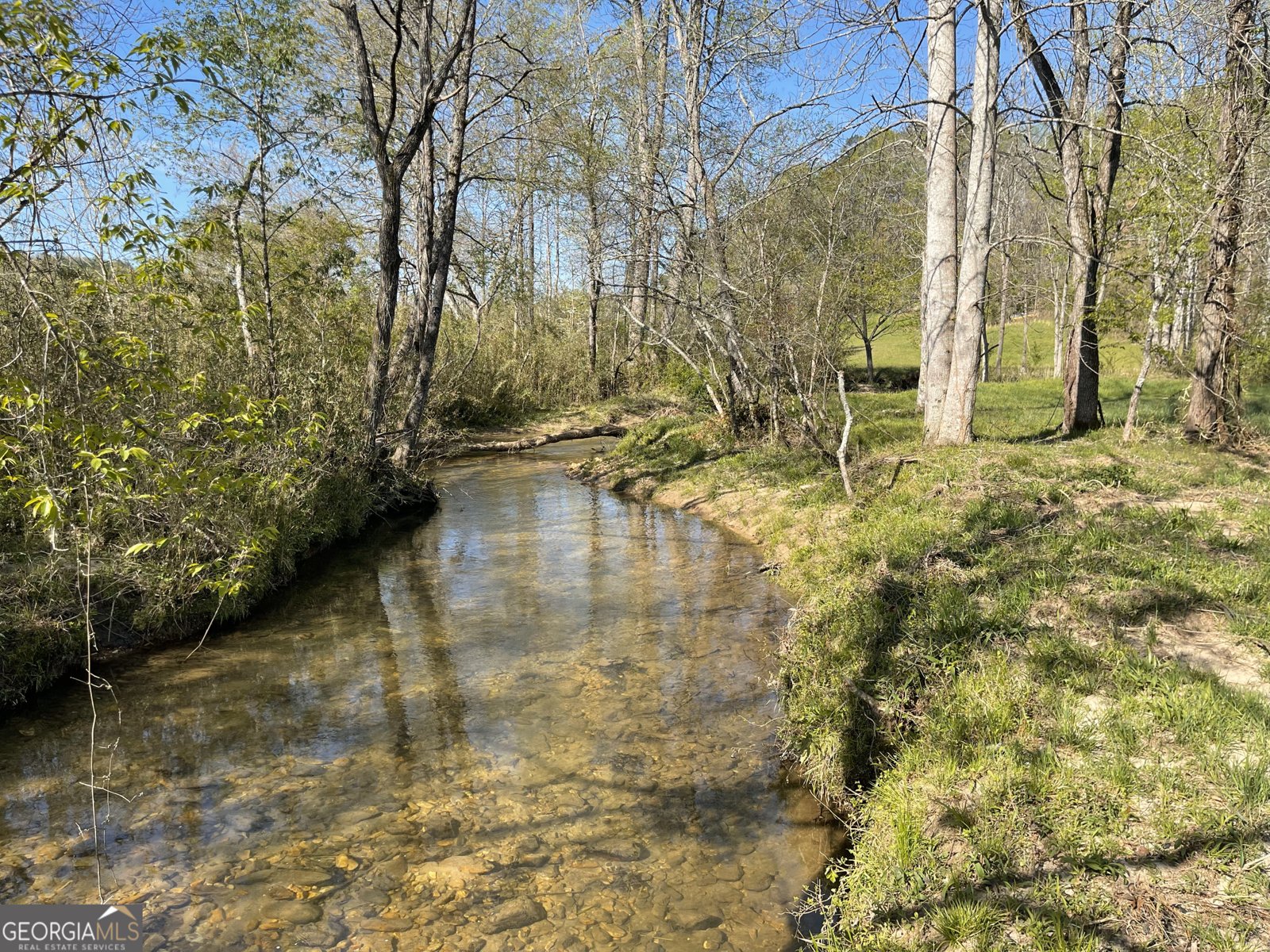 5.765 AC Brannon Nix Road Blairsville - 23