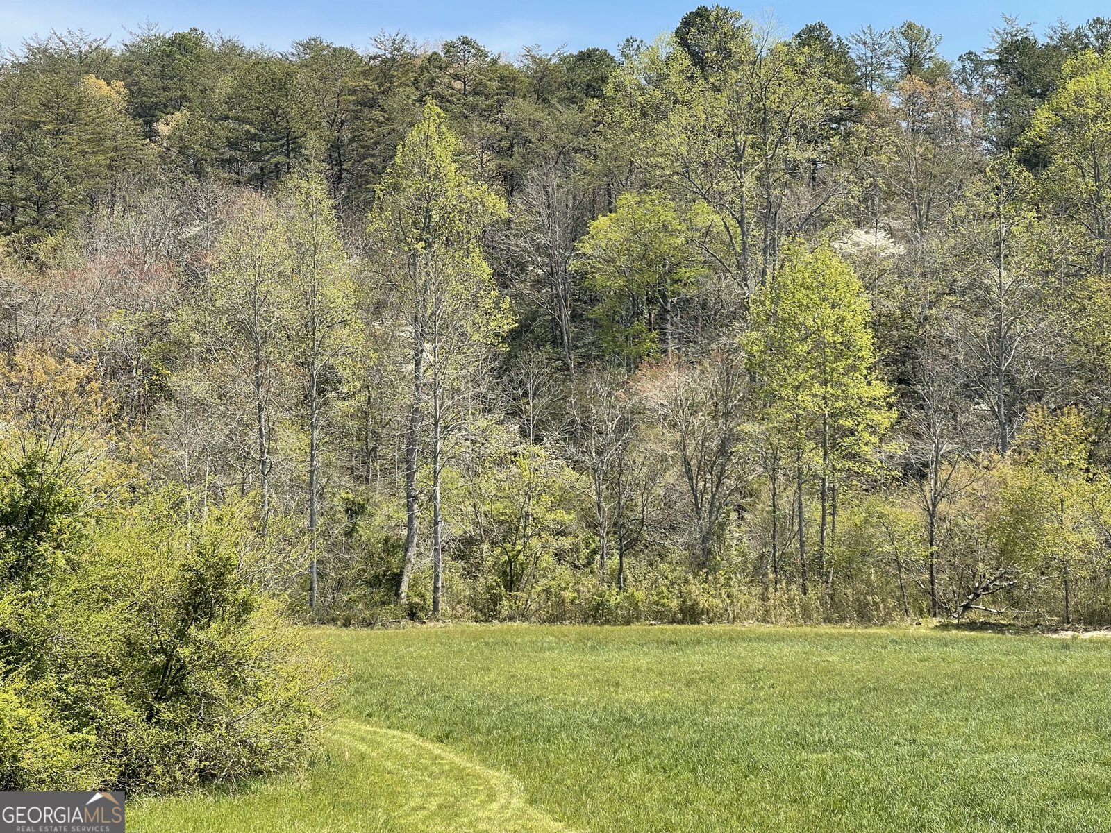 5.765 AC Brannon Nix Road Blairsville - 24