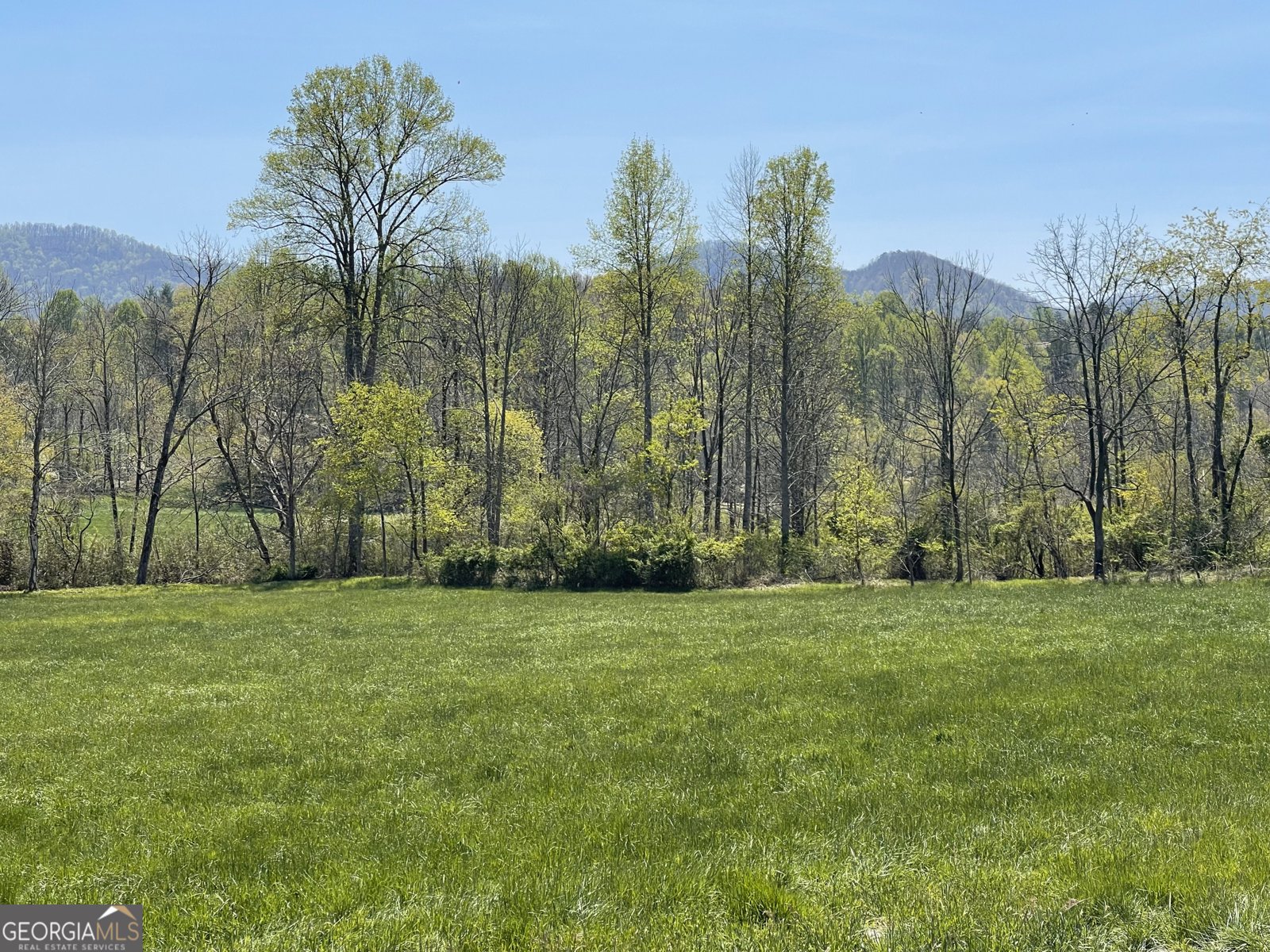 5.765 AC Brannon Nix Road Blairsville - 26