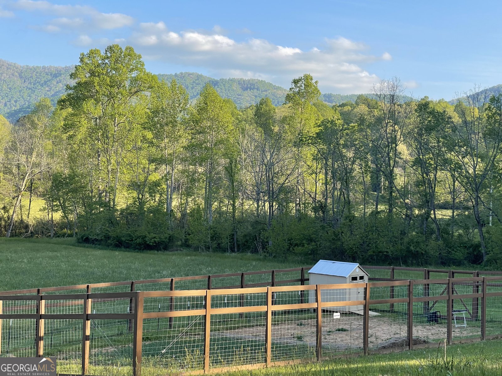 5.765 AC Brannon Nix Road Blairsville - 3