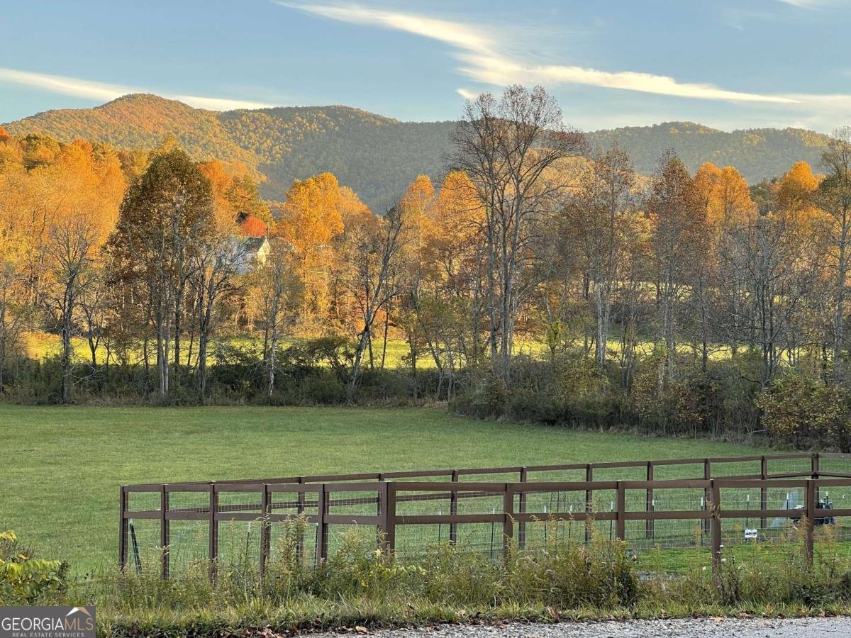 5.765 AC Brannon Nix Road Blairsville - 7