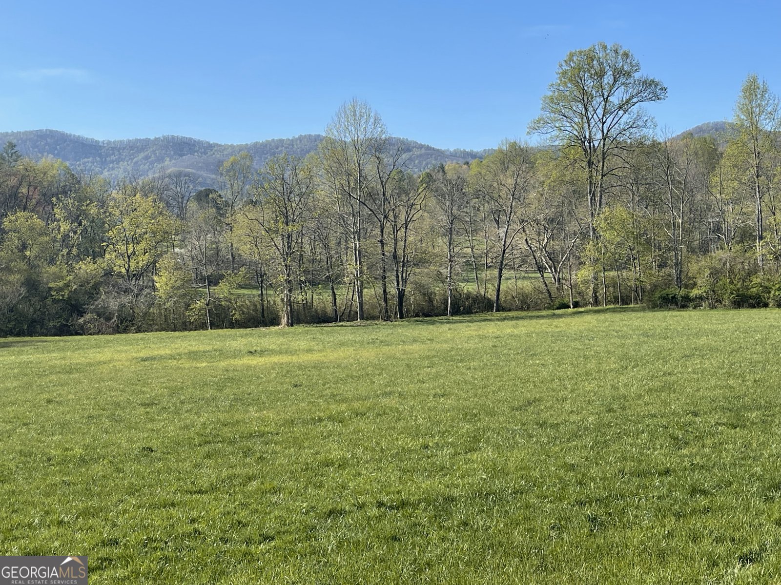 5.765 AC Brannon Nix Road Blairsville - 9