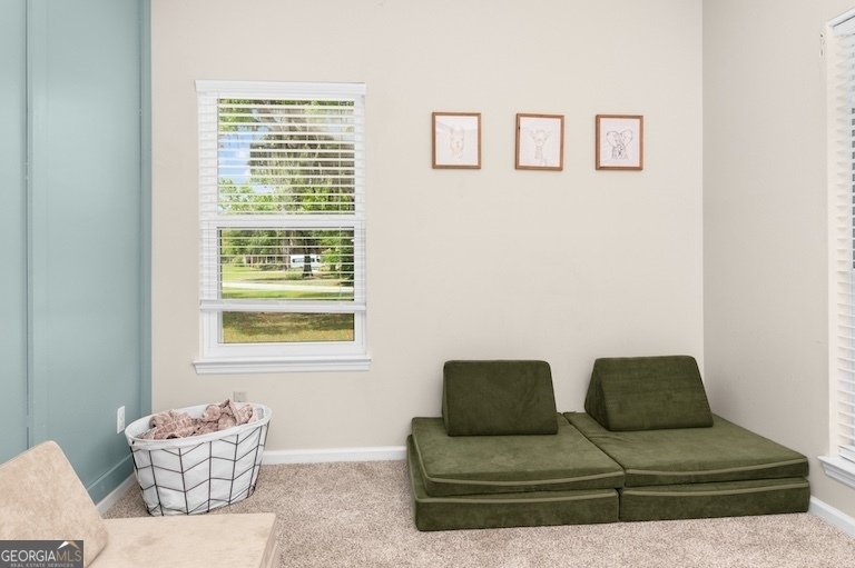 1163 Bristol Hammock Circle Kingsland - 26