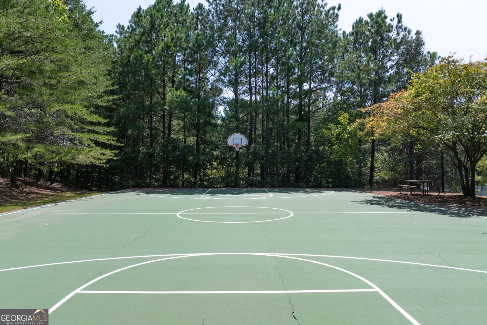 226 Crescent Moon Way Canton - 44