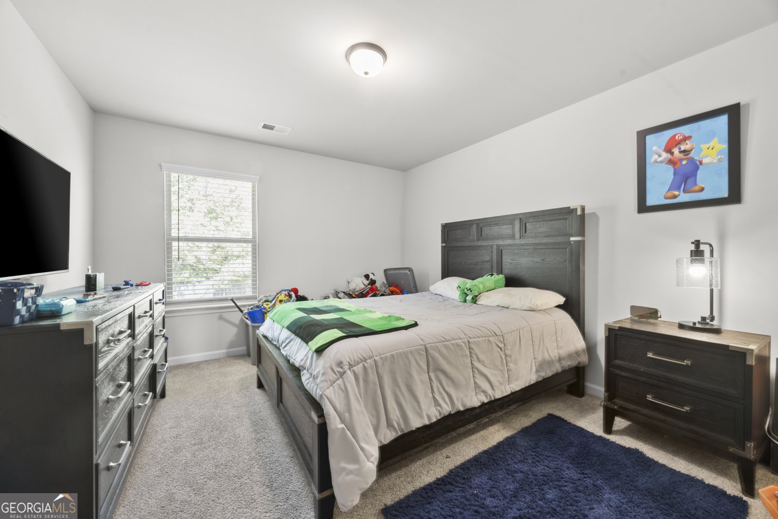1032 McConaughy Court McDonough - 20