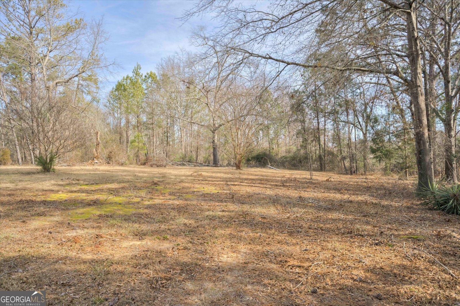 5585 Rosemont Drive Appling - 17