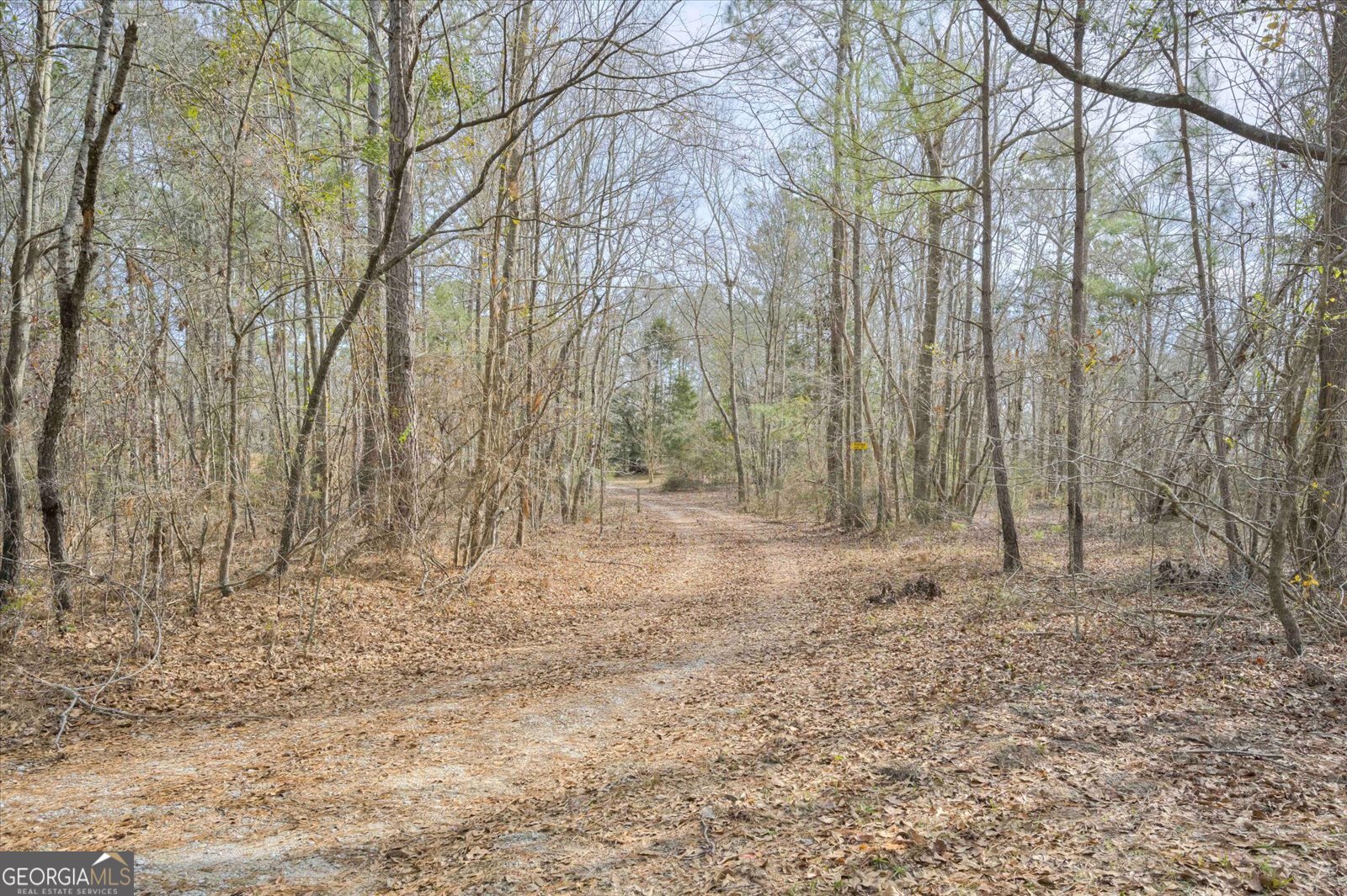 5585 Rosemont Drive Appling - 19