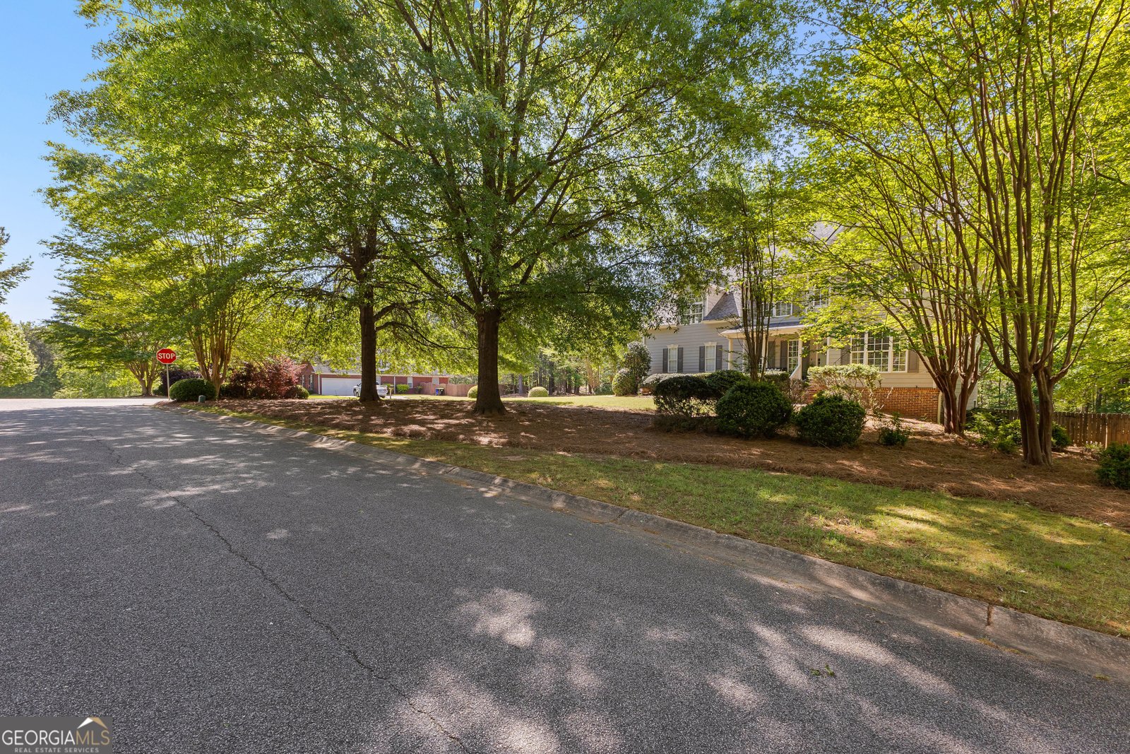10 Cove Drive Newnan - 4