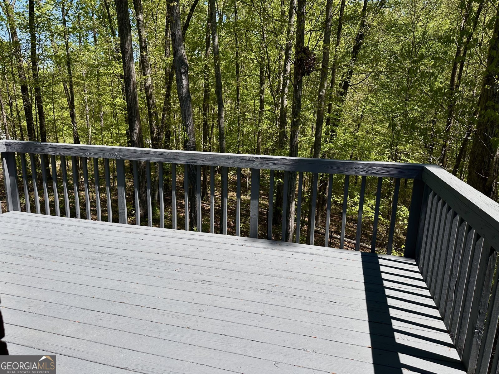 225 Austin Oaks Drive Ellenwood - 16