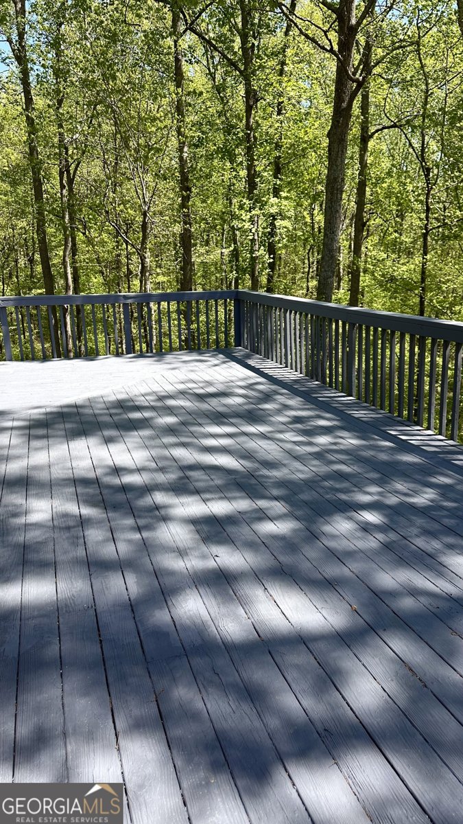 225 Austin Oaks Drive Ellenwood - 22