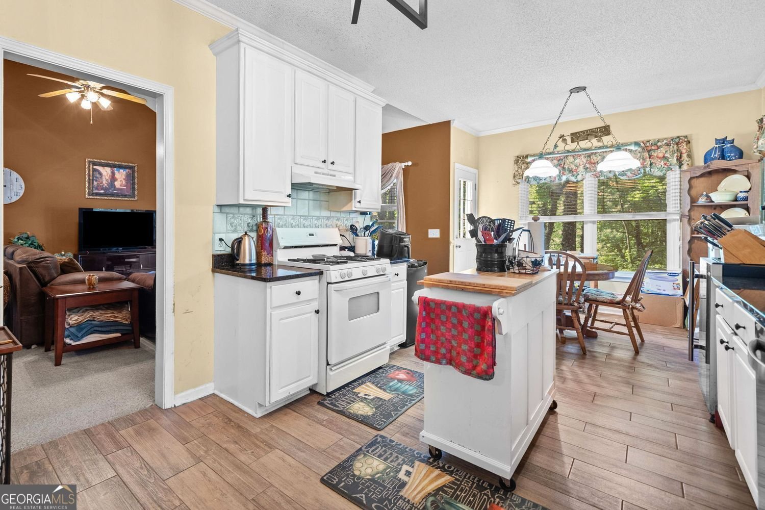 614 Springharbor Drive Woodstock - 16