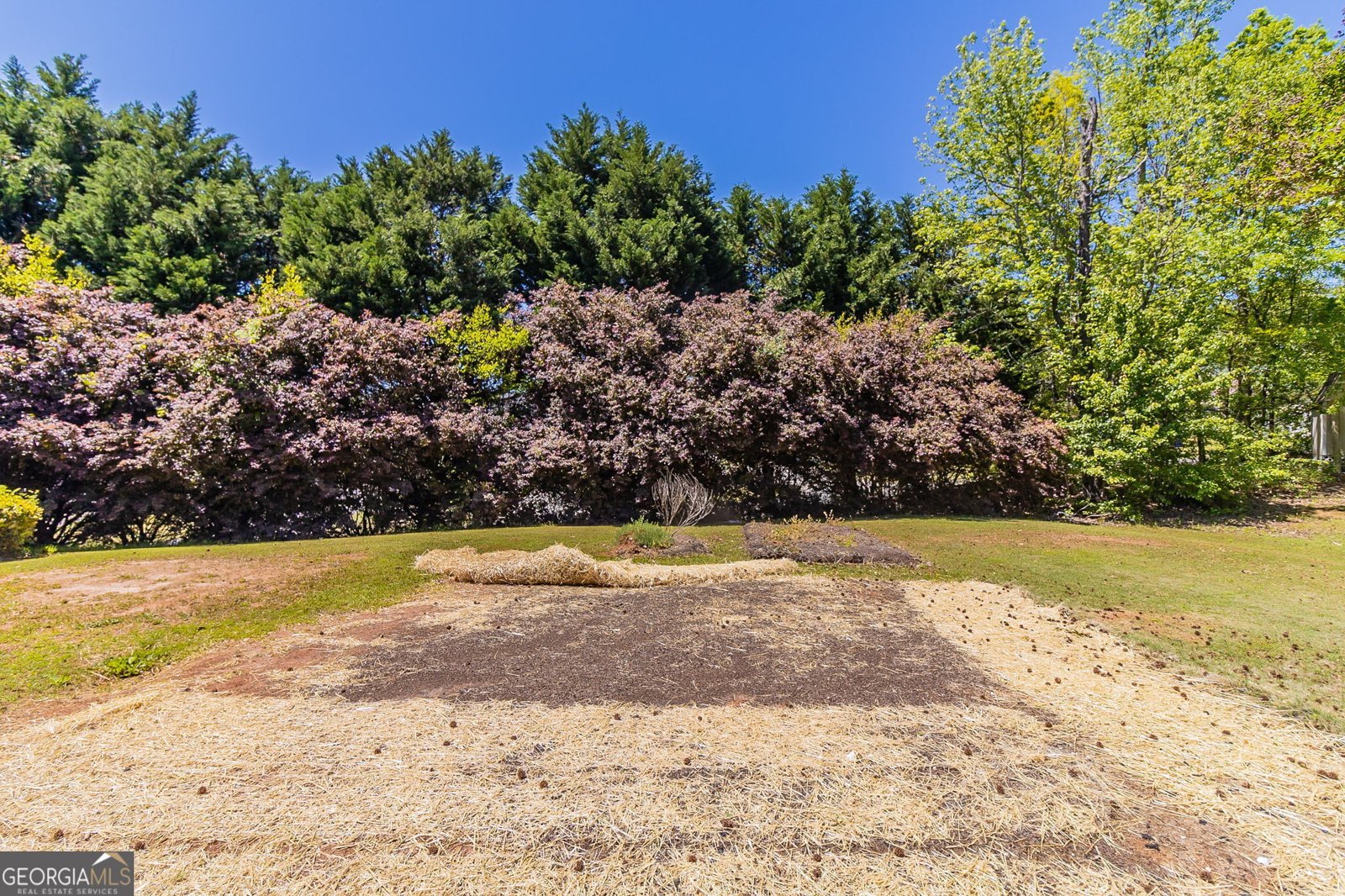 498 Haven Ridge Drive Stockbridge - 29