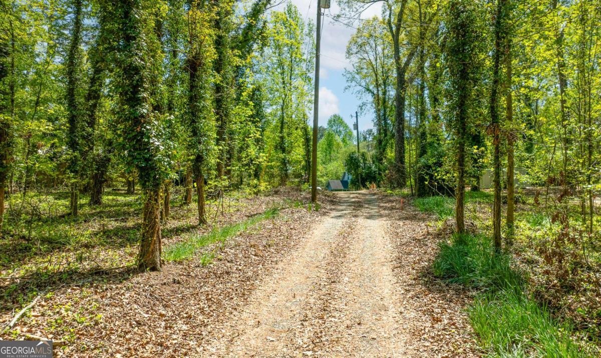 7060 A C Smith Road Dawsonville - 17