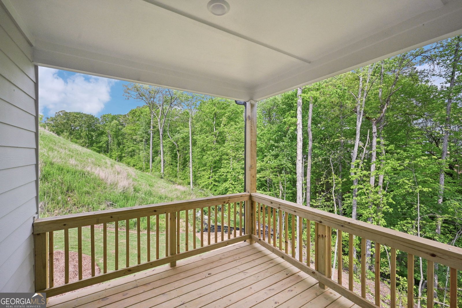 33 Sequoia Lane Dawsonville - 54