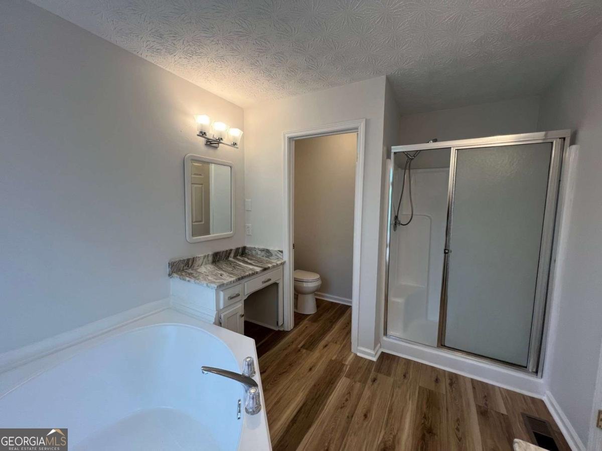 3861 Spring Meadow Drive Acworth - 31