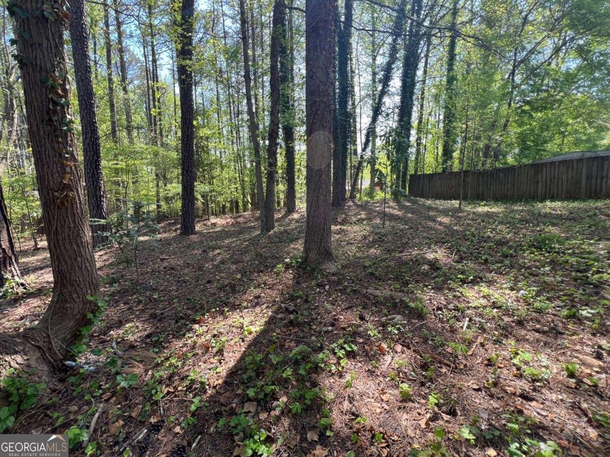 3861 Spring Meadow Drive Acworth - 7