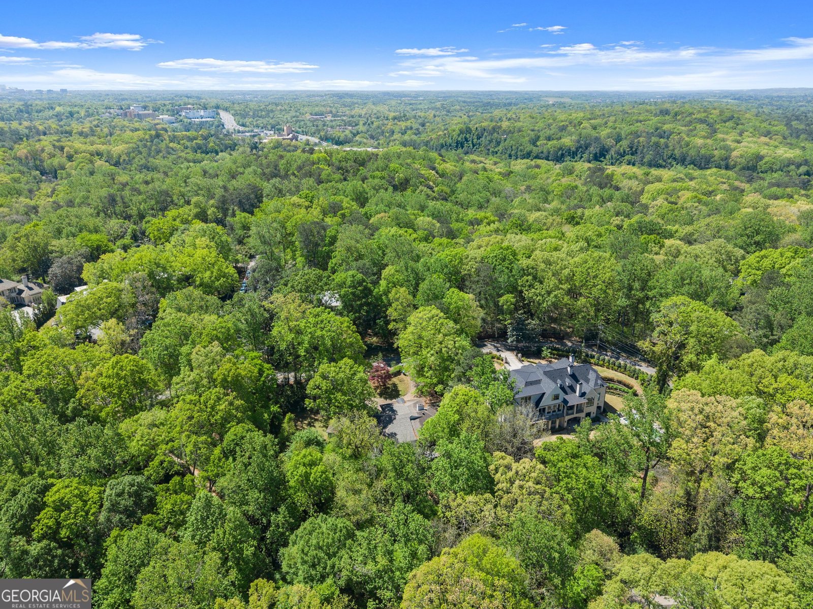 3985 Randall Mill Road Atlanta - 6