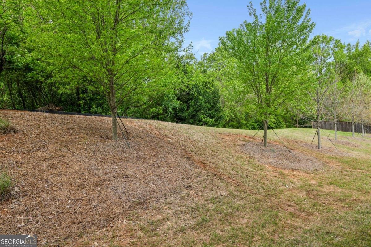 687 Avondale Creek Drive Decatur - 32