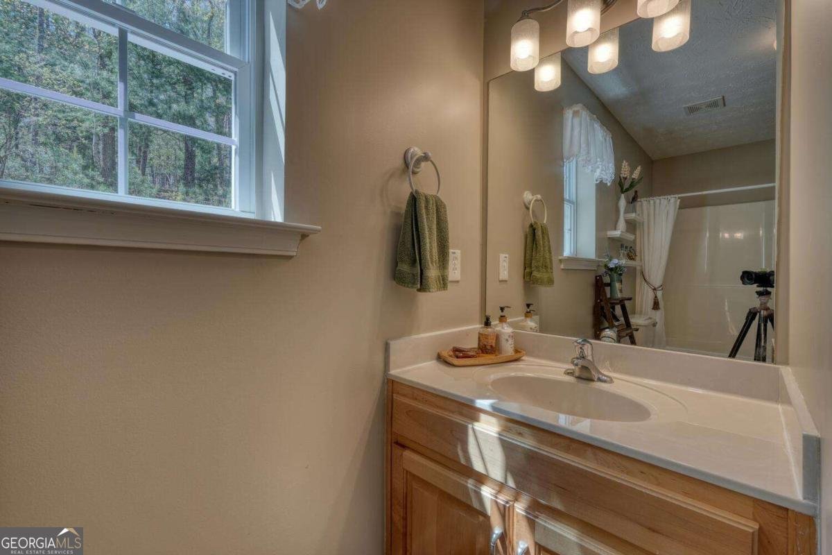 247 Enchanted Forest Lane Blairsville - 29