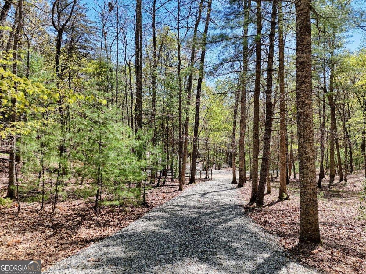 247 Enchanted Forest Lane Blairsville - 44