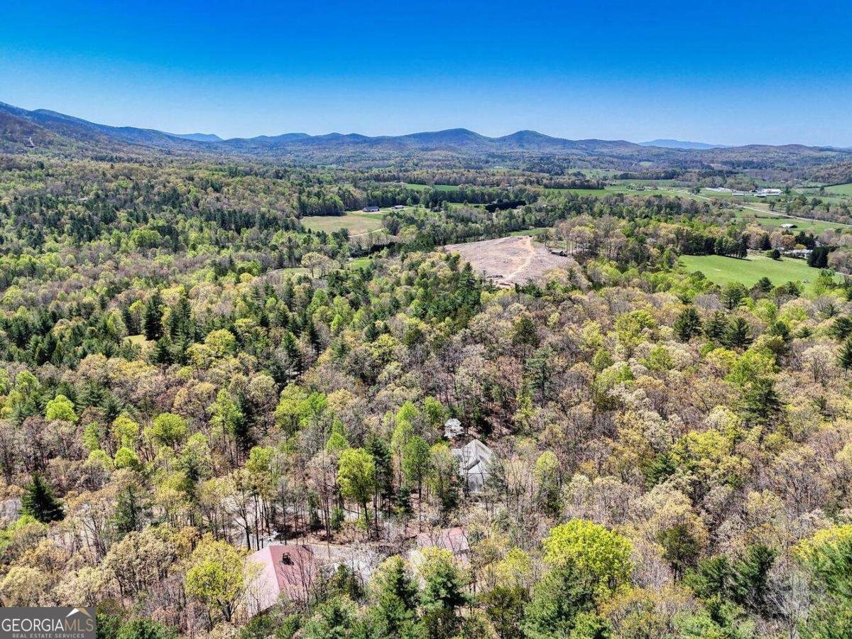 247 Enchanted Forest Lane Blairsville - 46