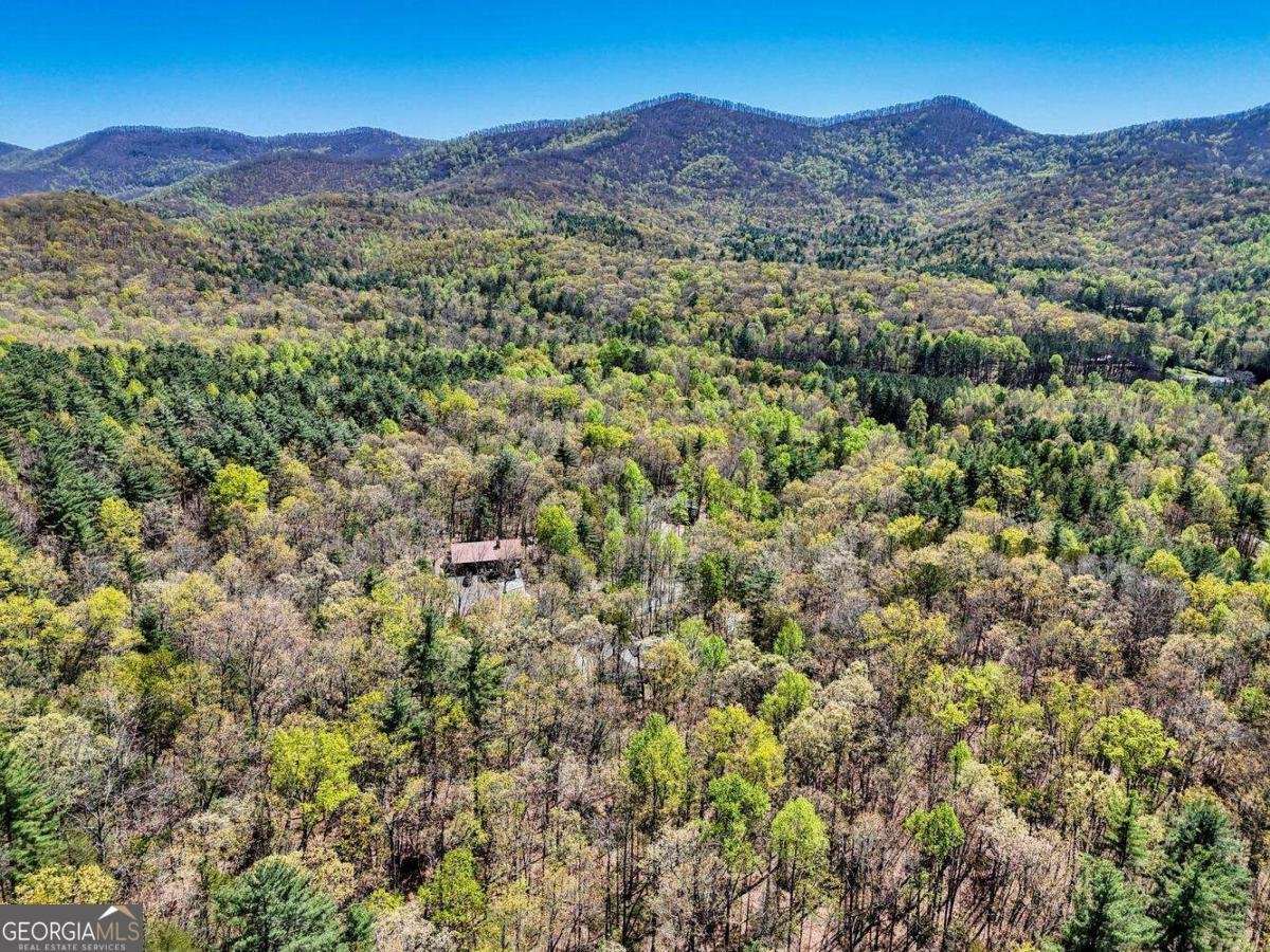 247 Enchanted Forest Lane Blairsville - 47