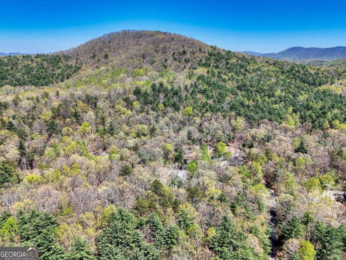 247 Enchanted Forest Lane Blairsville - 48